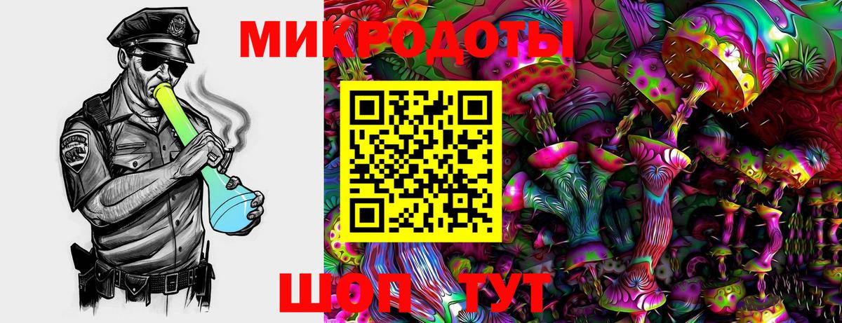 Златоуст  Псилоцибиновые грибы MAGIC MUSHROOMS  Вход с VPN 